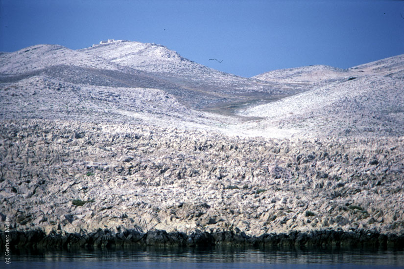 Rab-1980_309