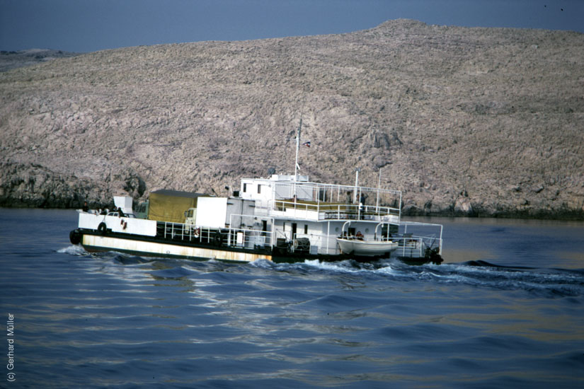 Rab-1980_310