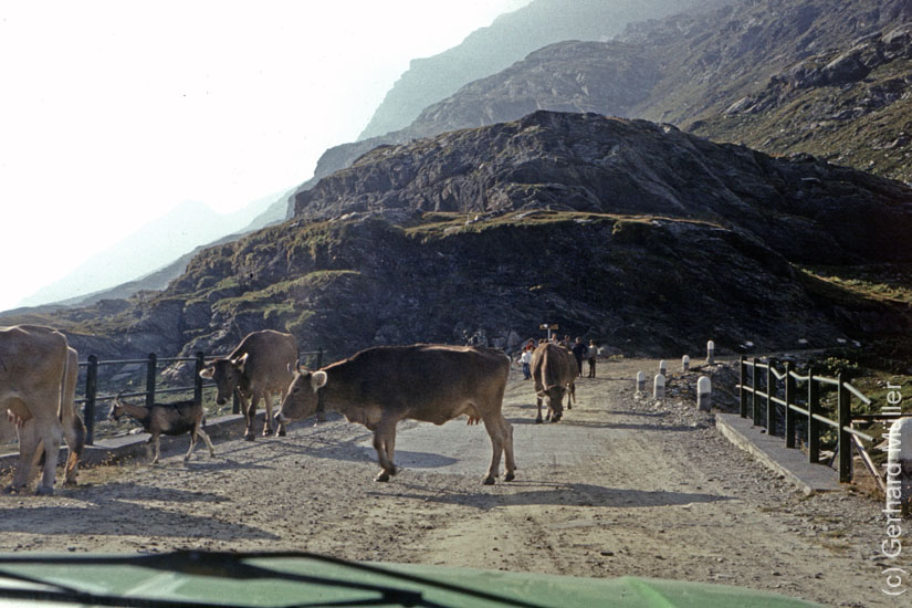 Rab1981_017
