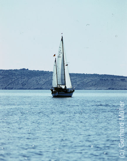 Rab1981_031