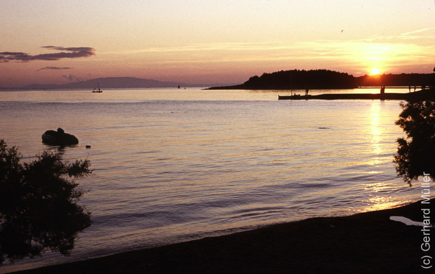 Rab1981_045