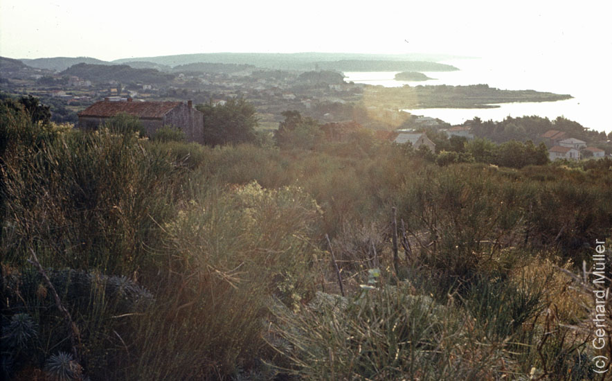 Rab1981_071