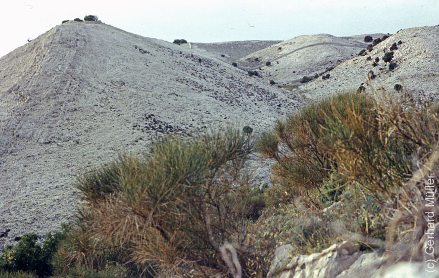 Rab1981_073