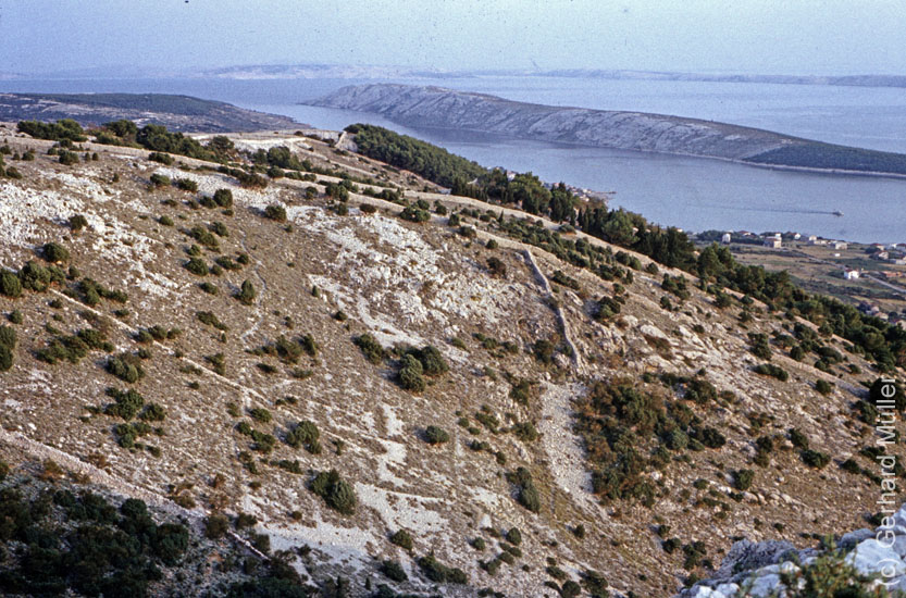 Rab1981_074