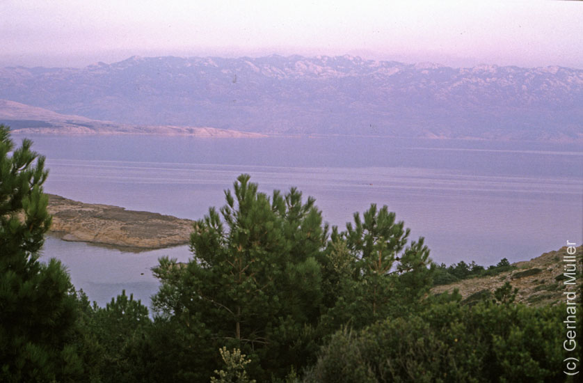 Rab1981_084