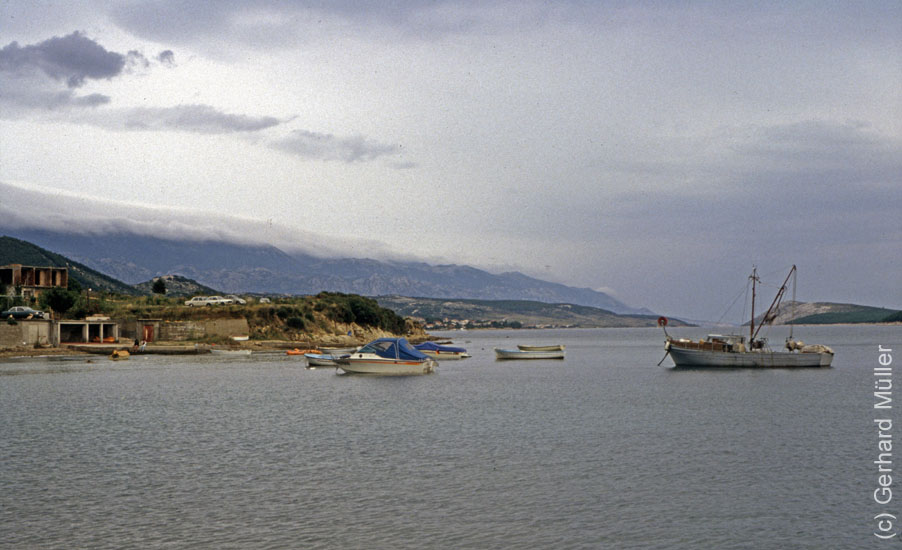Rab1981_131