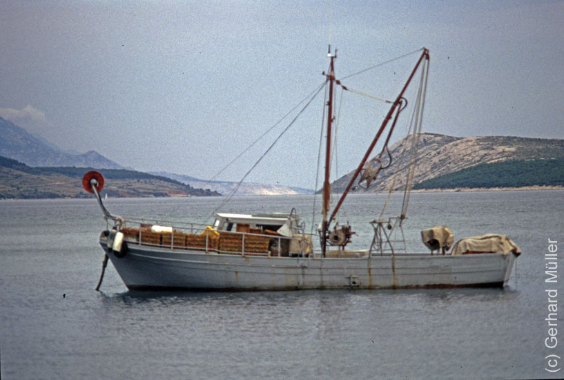 Rab1981_132