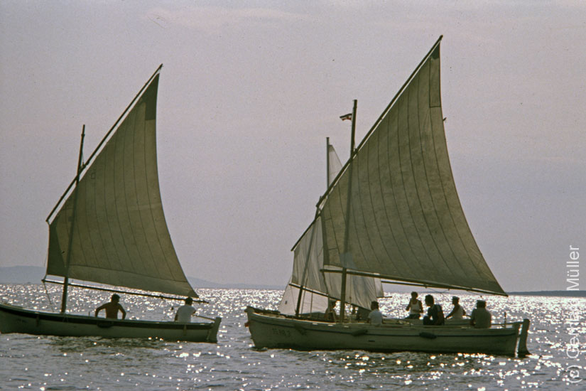 Rab1981_135