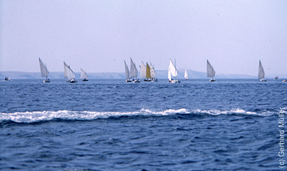 Rab1981_142