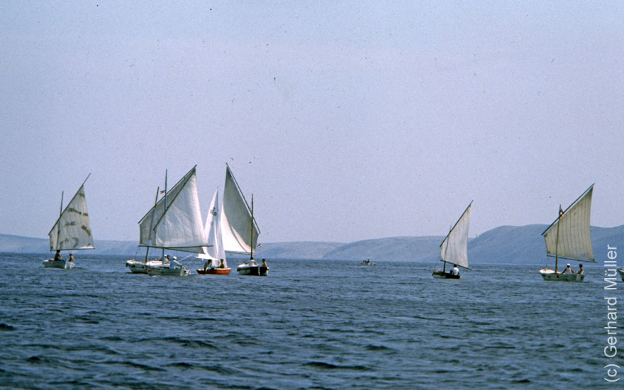 Rab1981_145