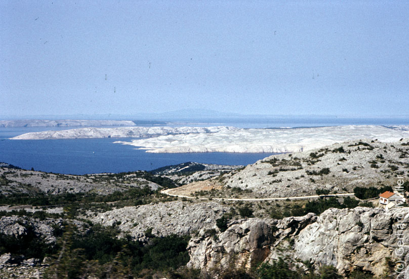 Rab1981_202