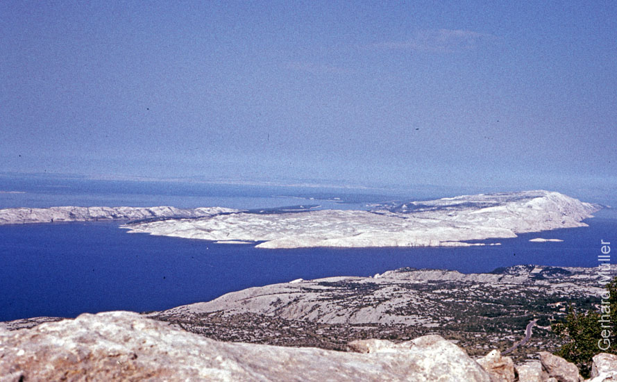 Rab1981_203