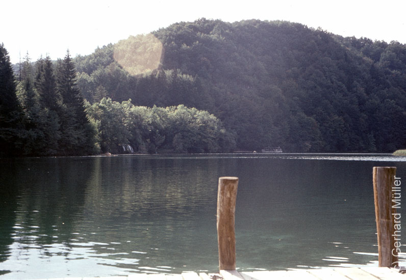 Rab1981_205