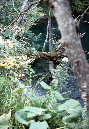 Rab1981_208