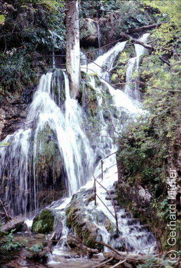 Rab1981_210