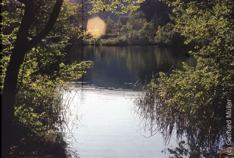 Rab1981_212
