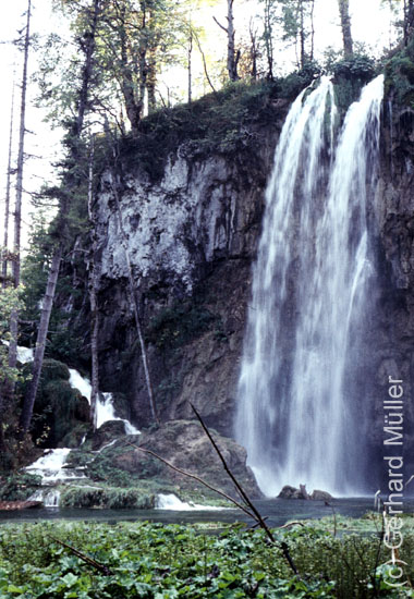 Rab1981_217