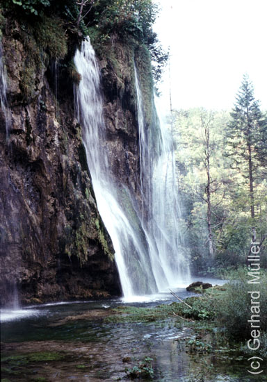 Rab1981_225