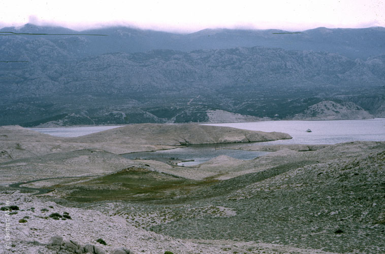Rab 1986_118