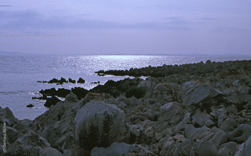 Rab 1986_202