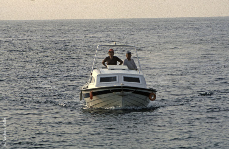 Rab 1986_211