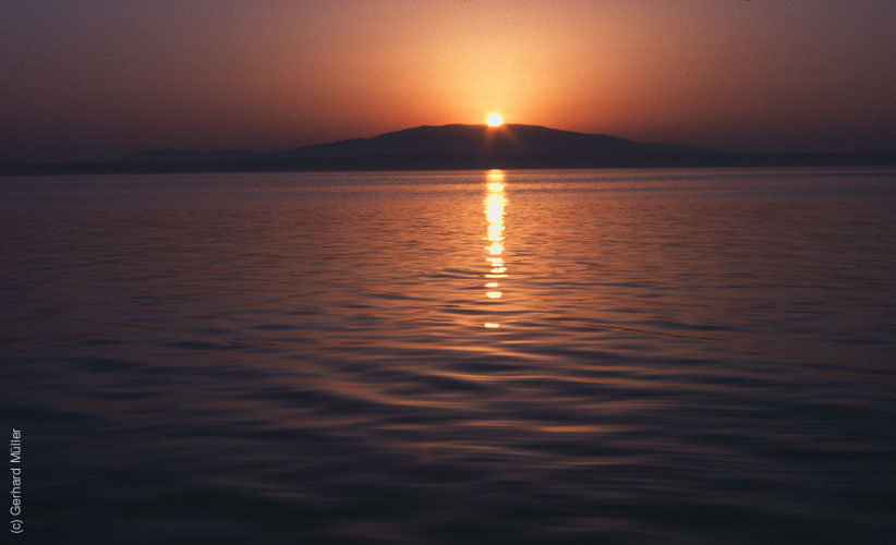 Rab 1986_217
