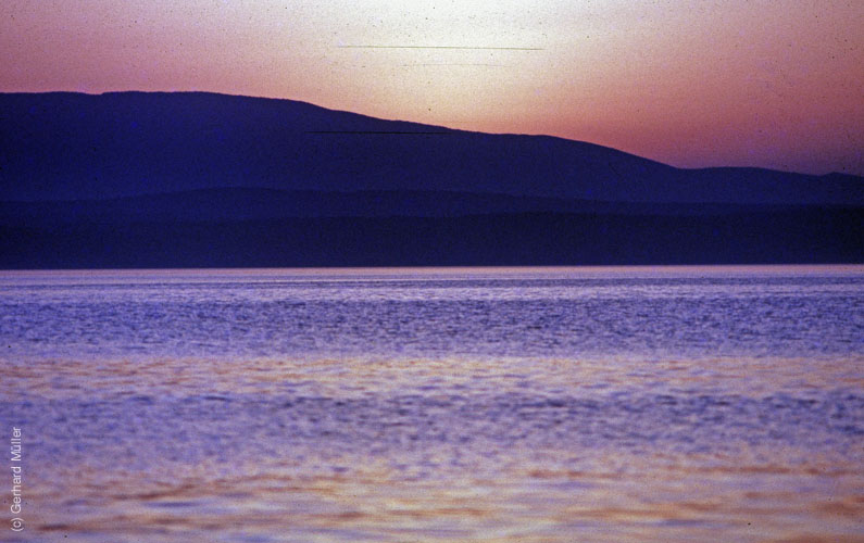 Rab 1986_218