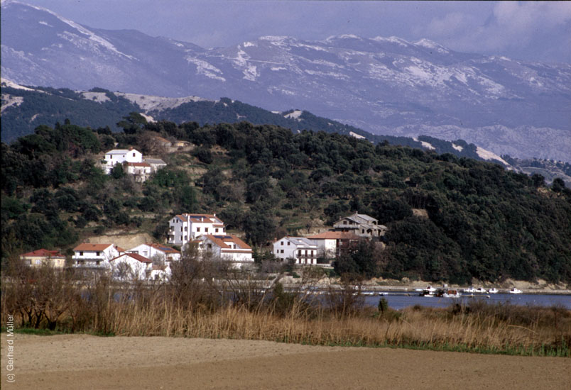 Rab-1995_006