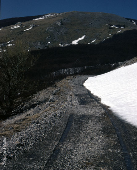 Rab-1995_041