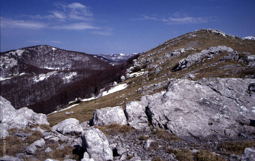 Rab-1995_046