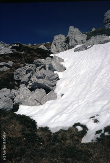 Rab-1995_047