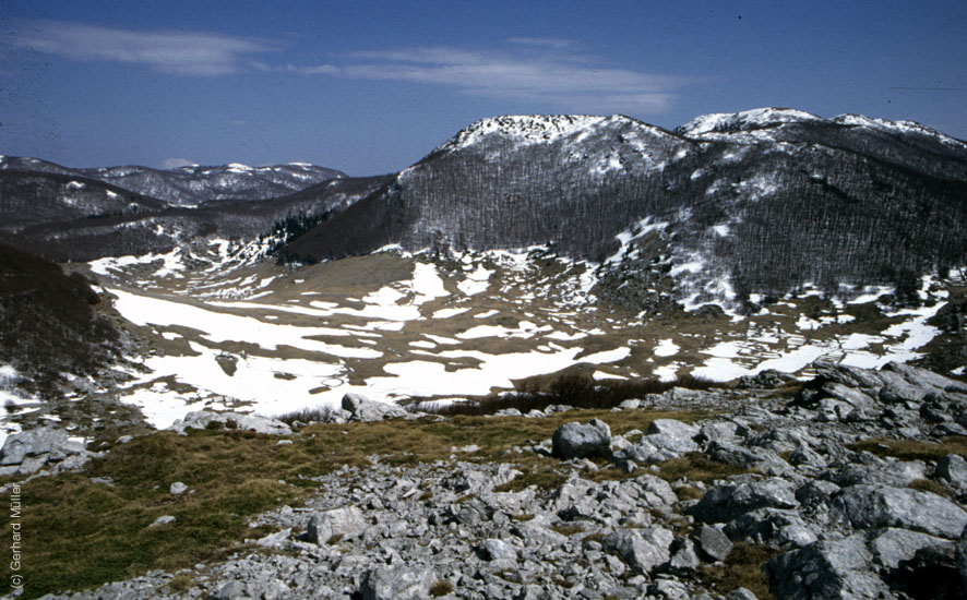 Rab-1995_055