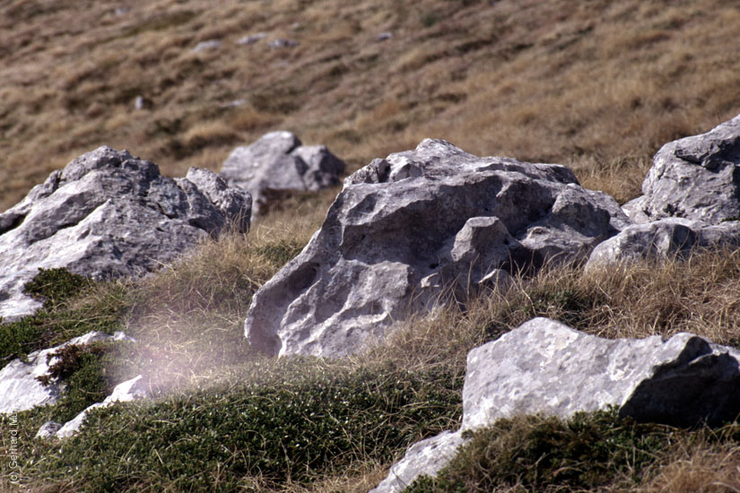 Rab-1995_060