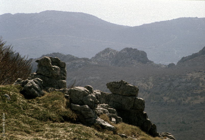 Rab-1995_062