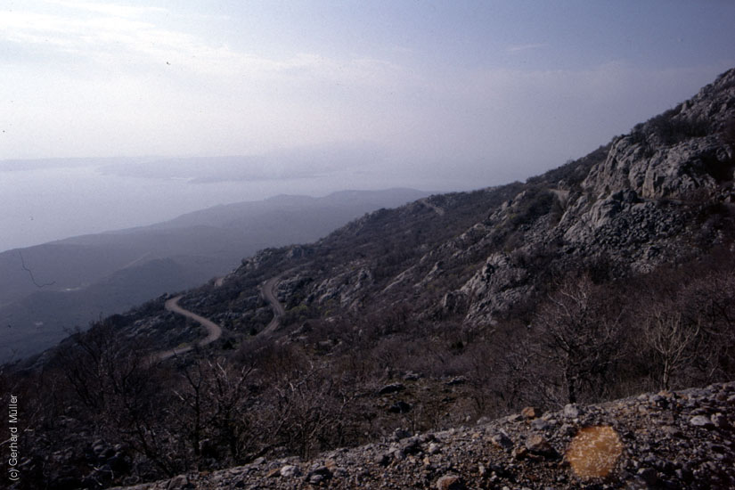 Rab-1995_074