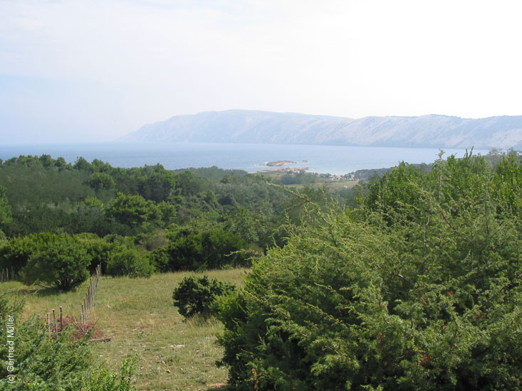 Rab2002_065