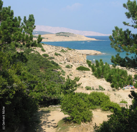 Rab2002_069