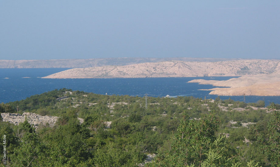 Rab2002_115