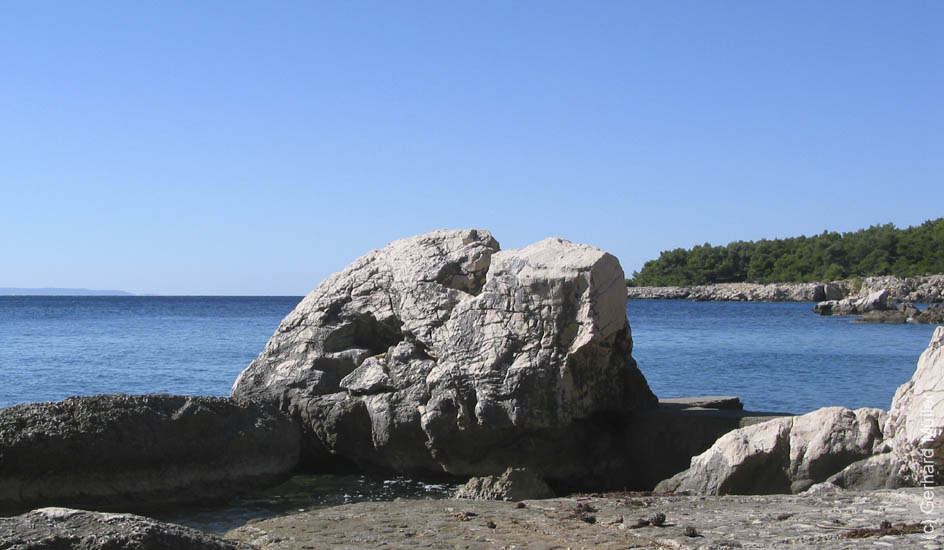 Rab2005_50
