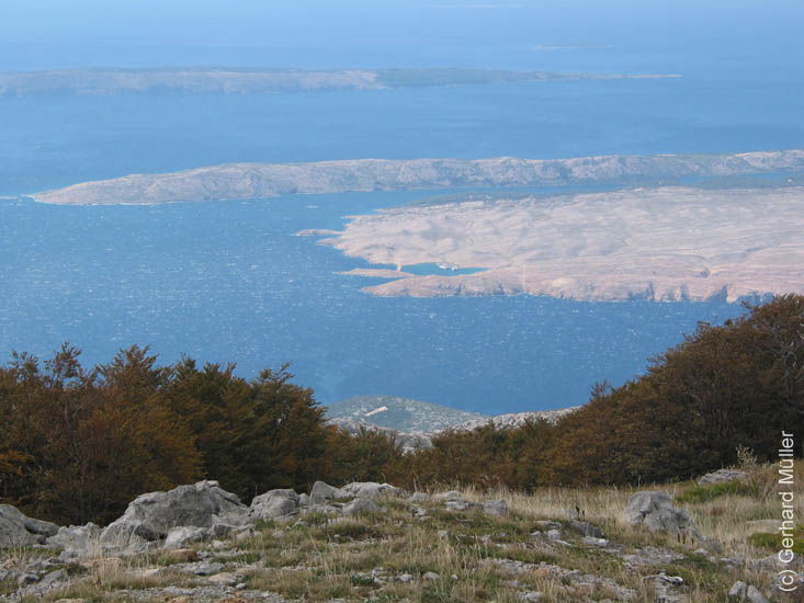 Rab2005_73