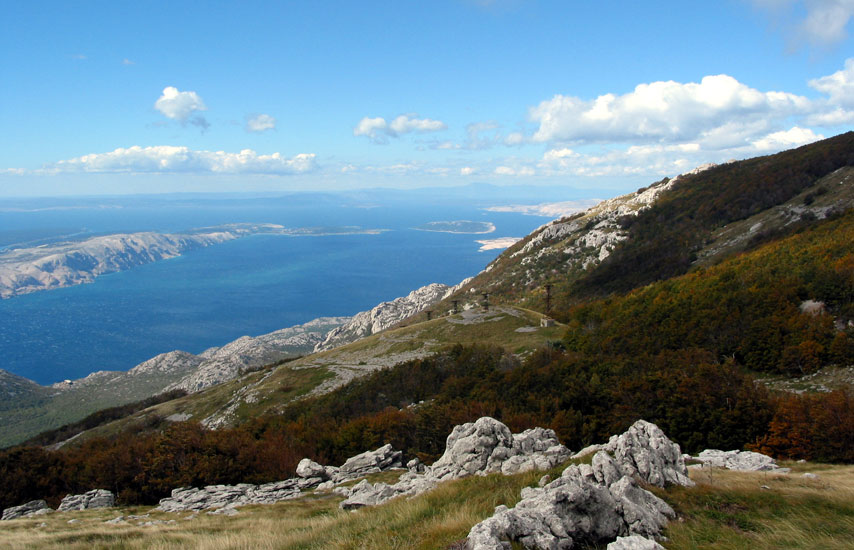 Rab2005_77