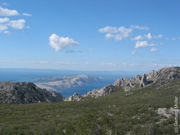 Rab2005_83