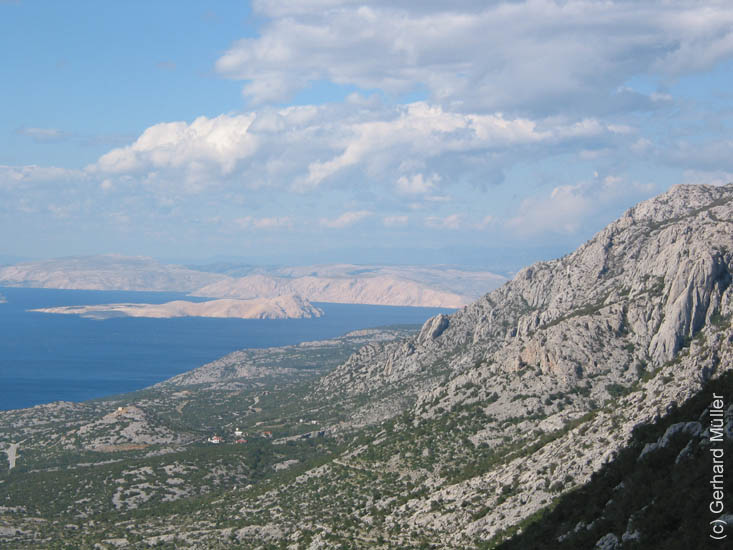 Rab2005_84