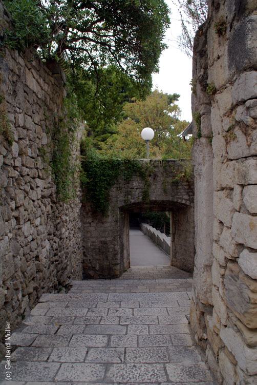 DSC01500