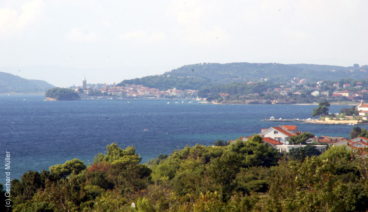 DSC09714
