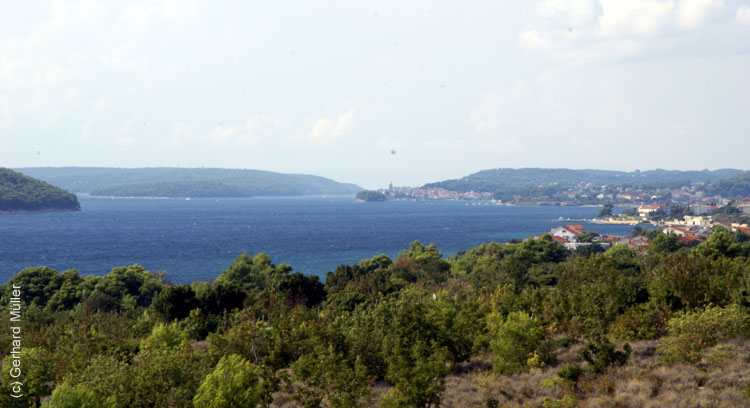 DSC09715