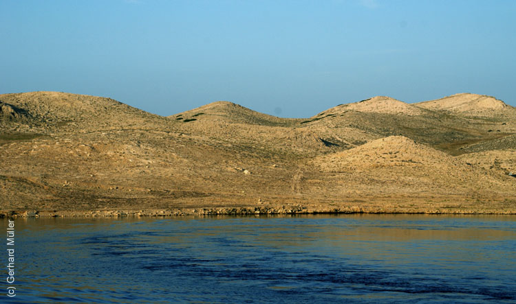 DSC09733