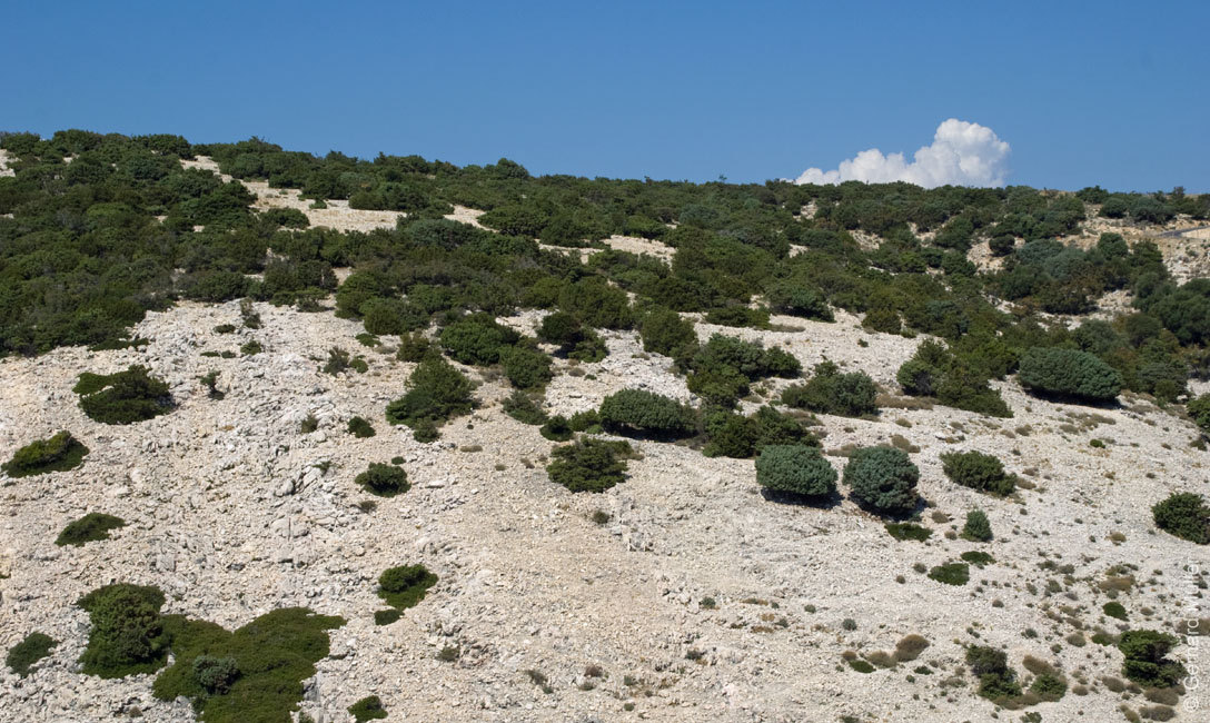 Rab 2011_01_Rab_036