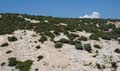 Rab 2011_01_Rab_036