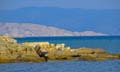 Rab 2011_01_Rab_044
